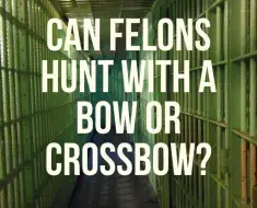 Can felons hunt with a bow or crossbow