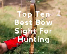 Top 10 Best Bow Sight For Hunting