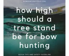 How high should a tree stand be for bow hunting