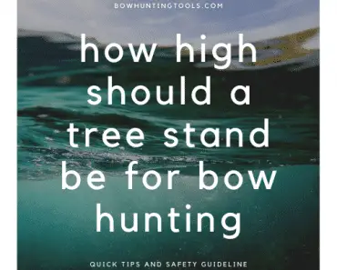 How high should a tree stand be for bow hunting