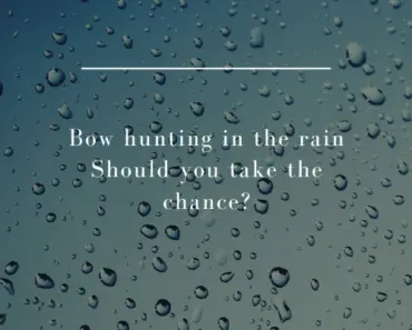 Bow hunting in the rain | Should you take the chance?