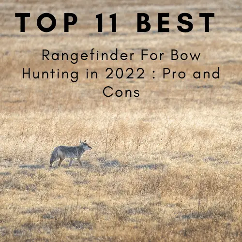 Best Rangefinder For Bow Hunting in 2022 Pro and Cons